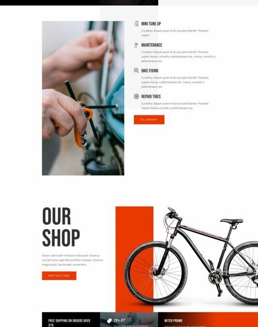 Bike Repair